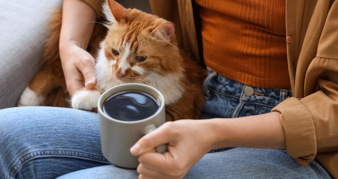 День «котячої леді»