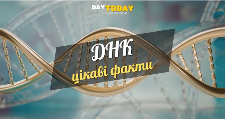 Цікаві факти про ДНК