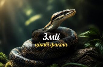 tsikavi fakty pro zmii featured 20260713 144722