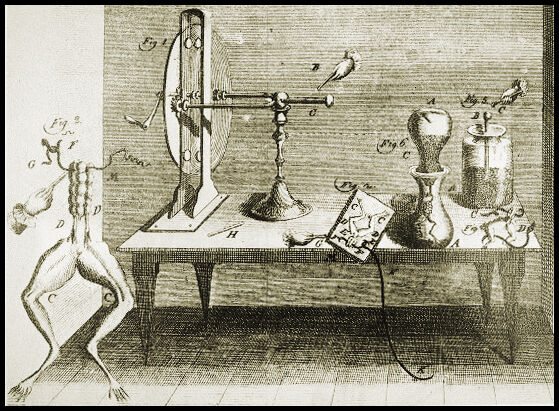 de:Luigi Galvanis Froschschenkel-Experiment, Versuchsanordnung aus: http://www.ieee-virtual-museum.org/collection/people.php?id=1234675&lid=1